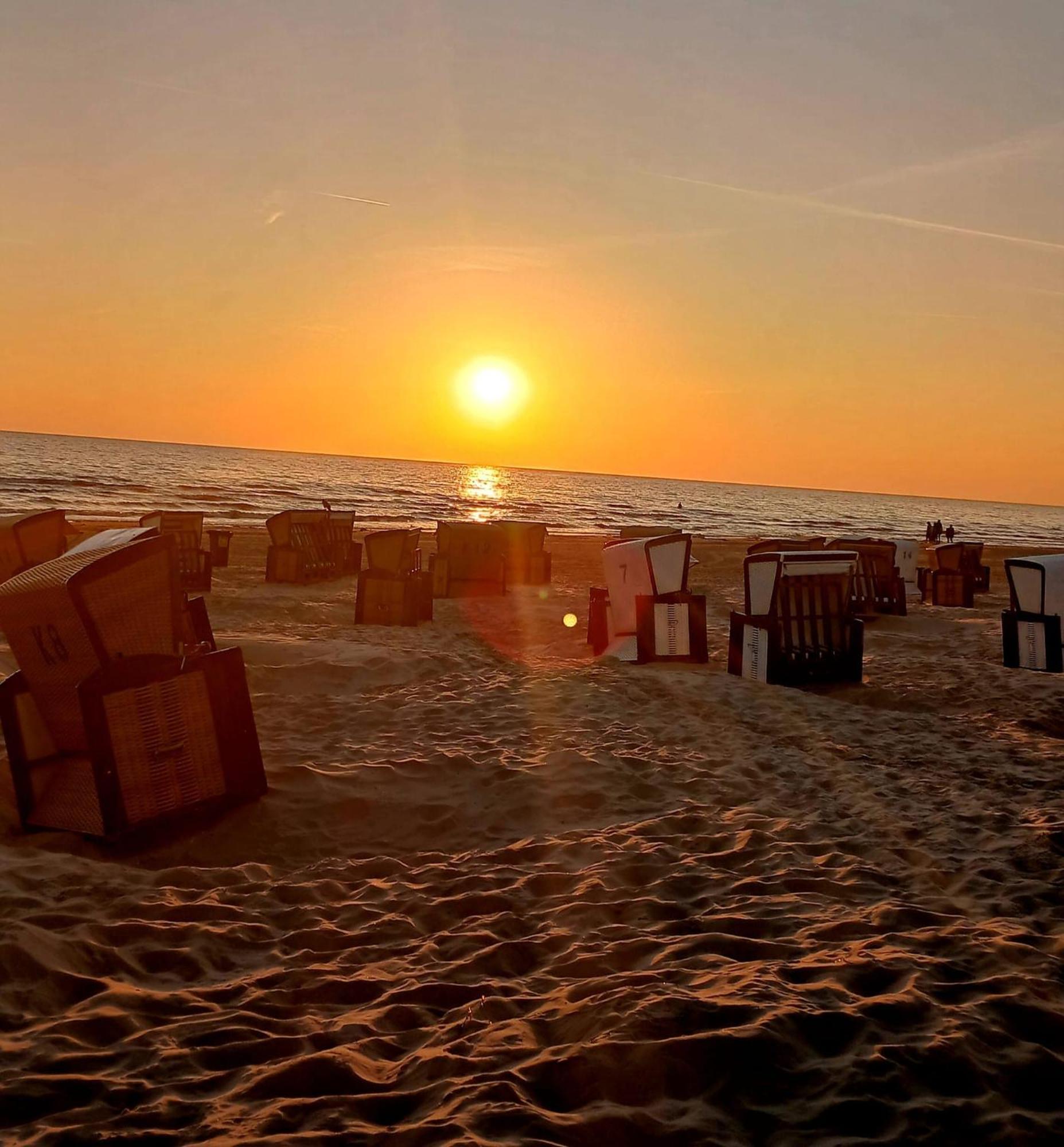 Ferienwohnung am Küstenwald - Insel Usedom Trassenheide Exterior foto